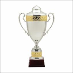 Silver Plated Cup 1191 Series