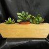 Milestone Planter Trio