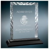 IN STOCK!  ACG51 Glass Award