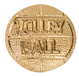 Gold Chenille Pins All Sport and Activities