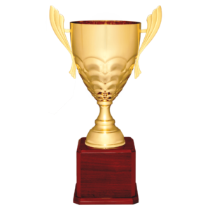 Gold or Silver Completed Metal Cup Trophy on Rosewood 3 Sizes – CMC930 Series –