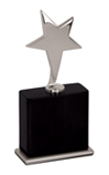 8″ Gold Star Award on Rosewood Piano Finish Base EX022