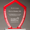 Shield Shaped Glass Award with White Laurel Leaves, by Airflyte