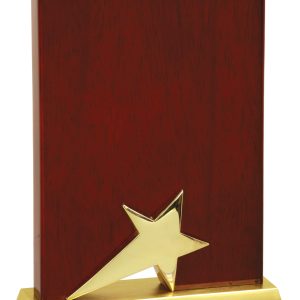 6″ x 8″ Rosewood Piano Finish Standing Star Plaque with Gold Metal Base