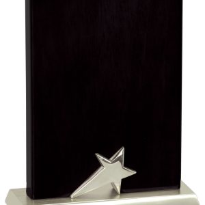 4 3/4″ x 6″ Black Piano Finish Standing Star Plaque with Silver Metal Base