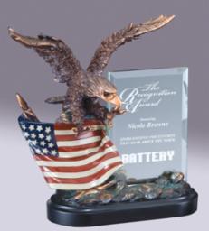 Eagle on Flag Award