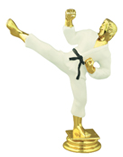 5 1/4″ Color Male Karate Figure