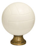 Color Volleyball Resin 10 1/2″