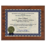 13″ x 10 1/2″ Certificate Slide-In Frame Plaque with 11″ x 8 1/2″ Window