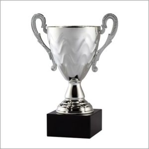AMC10A Assembled Metal Cup in Silver