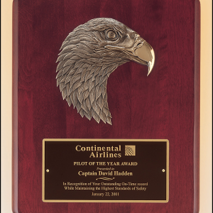 P3753 8×10.5″ Airflyte Eagle Plaque in Color