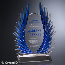 Valor Award 18-1/2″
