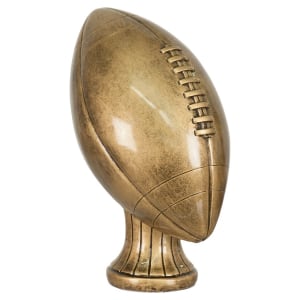 Color, Silver and Gold Football Resins