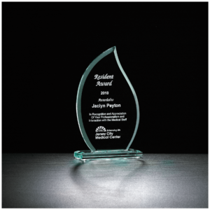 Flame Series Glass Award