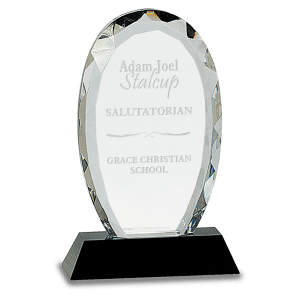 Facet Crystal on Black Pedestal Base