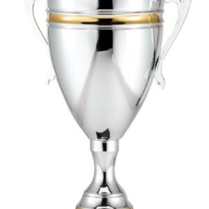 ASSEMBLED ITALIAN CUP GOLD STRIPE by Marco